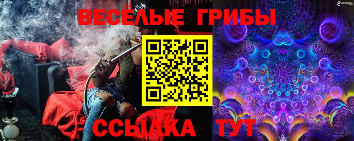 Галлюциногенные грибы GOLDEN TEACHER  Вход с VPN  Шадринск  Галлюциногенные грибы Magic Shrooms 