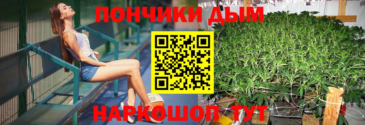 МАРИХУАНА ГИДРОПОН Шадринск